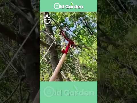 High-altitude pruning shears - link in bio🥇#oldgardenshop #garden