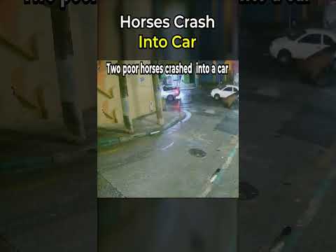 Horses Crash Into Car