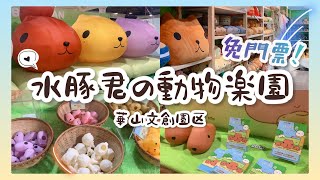 【免費入場✨】水豚君的動物樂園in華山文創園區!期間限定快閃店 IKKMUNN 伊庫姆