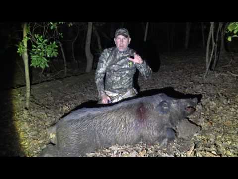 Hog  Hunt Bow By Scent Control Outdoors