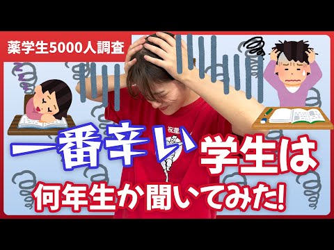 【5000人調査】薬学部で一番辛い学年は何年生？一緒に考えてみて！