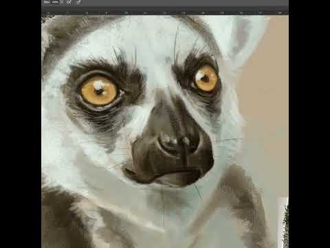 #Shorts - Painting a lemur in Photoshop