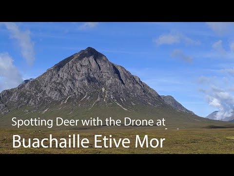 A view of deer from my drone at the Buachaille Etive Mor