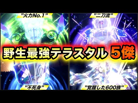 【ポケモンSV 碧の仮面】野生で入手可能なレアテラスタル最強ポケモン5選〜ゼロの秘宝〜