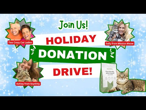 A Holiday Donation Drive for Cats - with SoyKitty & Mission Meow