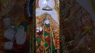 Jay mata rani #colour of chhattisgarh #vlog #cg #cggeet #anujasharma