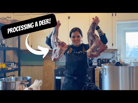 Processing A Deer!