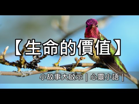 【生命的價值】小故事大啟示｜心靈小語｜