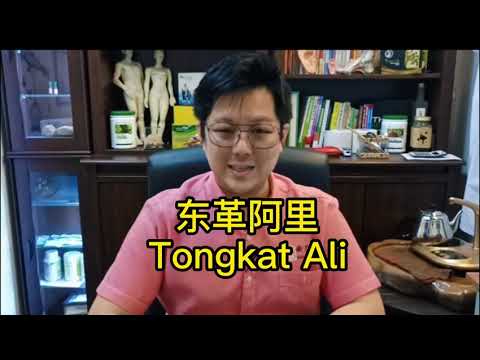 【Tongkat Ali】Yellow, Red, Black??!! 东革阿里，红阿里，黑阿里，黄阿里.....