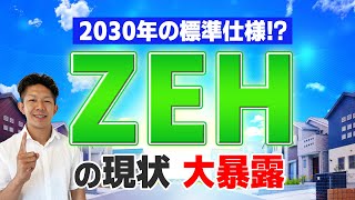 【大暴露】本当にお得なの？『ZEH』の現状と課題を徹底解説！