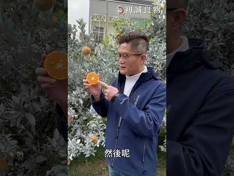 一不小心就噴的你滿嘴都是  #雲林茂谷柑小知識 part 3