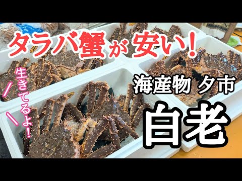 【北海道】海産物夕市🐟生きてるタラバガニ！観光地では絶対に買えない価格🤩