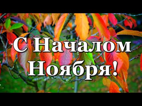 Здравствуй, ноябрь! С Началом Ноября!