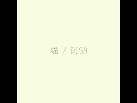 猫/DISH 弾き語り　【おやすみver】