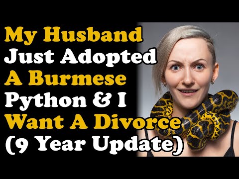 My Husband Suddenly Adopted A Burmese Python And Now I Want To Leave Him (9 YEAR UPDATE)