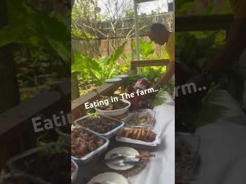 EASTER SUNDAY EVERYONE I EATING IN THE FARM I CHOOSE WHAT YOU LIKE #share #viral #amazing #like #fun