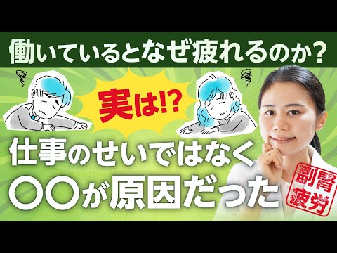 【仕事・家事】働いているとなぜ疲れるのか？実は仕事のせいではなく〇〇【副腎疲労】