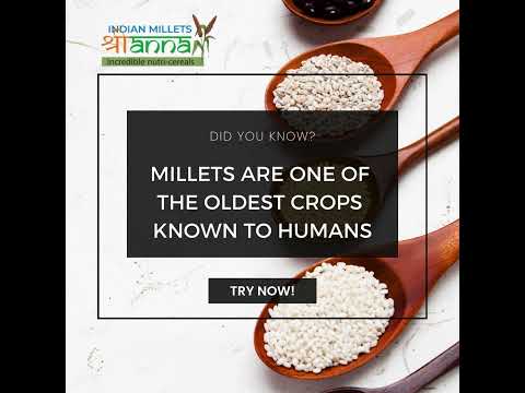 Ancient Grains for a Sustainable Future | Indian Millets