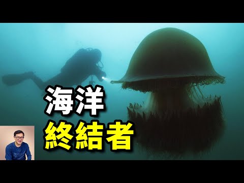 巨型水母神出鬼沒，日本漁業損失上百億！科學家分析真相，發現隱藏在海底的大秘密！【老肉雜談】#動物 #海洋 #水母 #jellyfish #animals