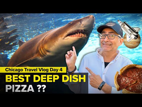 Best Things To Do in Chicago | Day 4 Chicago Vlog | HONEST REVIEW Deep Dish Pizza | Street Food US