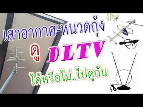 เสาอากาศธรรมดาและเสาหนวดกุ้ง จะดู DLTV ได้หรือไม่...ไปดูกัน