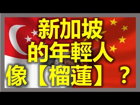 新加坡的年輕人像【榴蓮】？什麼是【草莓一族】 ？ 和【榴蓮一族】 有什麼不同？