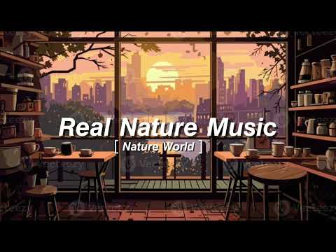 natural love sound // sound nature // nature song // mind relax song // sound song // real sound 🌧🌼🦋