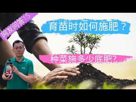 网友问答15：育苗时如何施肥？种菜施多少底肥？