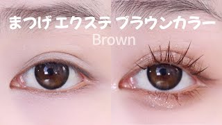 超簡単 アイドル まつげ エクステ ブラウン カラーコリンコ メイク まつげキットCoringco TokTok Hara Brown Eyelash