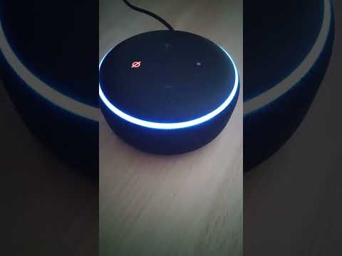 Alexa Startup