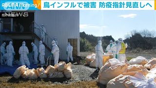 鳥インフルエンザ　農水省が防疫指針など見直しへ(2021年5月20日)