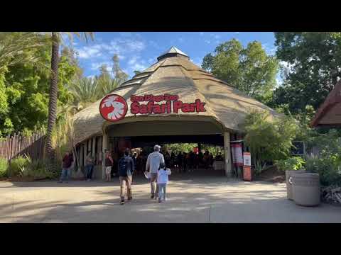 San Diego Zoo Safari Park 圣地亚哥野生动物园 游记/サンディエゴワイルドライフパークトラベルノート/샌디에이고 야생동물 공원 여행 정보