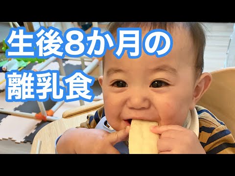 【離乳食】生後8か月の離乳食・食べている様子から冷凍ストックの作り方まで【初めてのおやき】