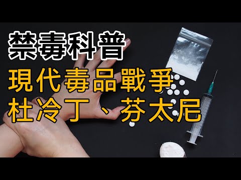 【禁毒科普】第十六集：毒品帝國-新世代【現代鴉片戰爭】：杜冷丁、芬太尼