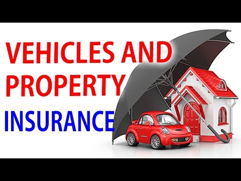 Vehicle and Property Insurance