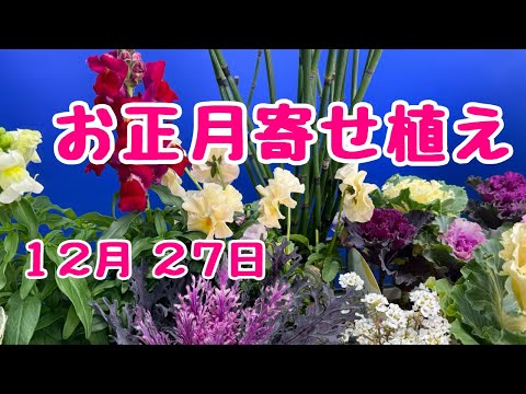 #お正月 #寄せ植え　2024年12月27日