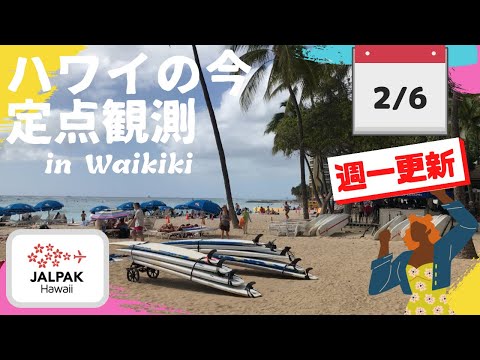 【ハワイの今】ワイキキ定点観測  2024年2月6日