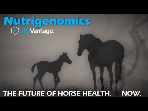 Nrf2 Activation for Horse Health