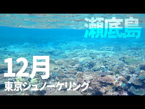 ＃２１瀬底島でシュノーケリング（2020年12月）【東京シュノーケリング】