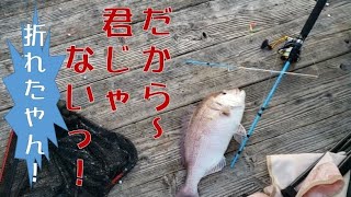 【海上釣堀】爆風！爆釣！でも君じゃない！