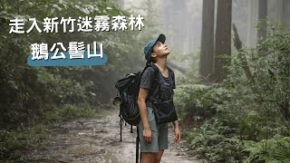 新竹縣鵝公髻山、台灣小百岳！帶爸媽爬山⛰️森遊竹縣👣