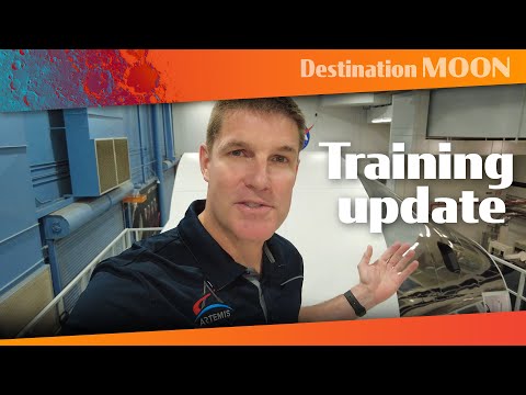 Vlog 5: Training update