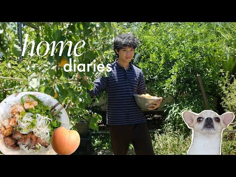 Home Diaries | Living room tree repot, a weekend at my parents (cooking, plants, family) 🥬