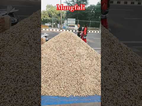 Mungfali ka pahad #shortvideo #streetfood