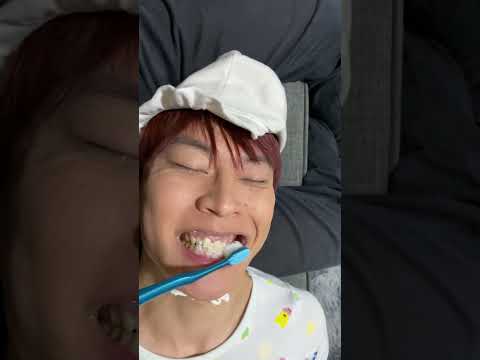 【バブタローの日常】歯磨きを雑にやってやった #funny #tiktok #shorts