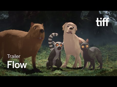 FLOW Trailer | TIFF 2024