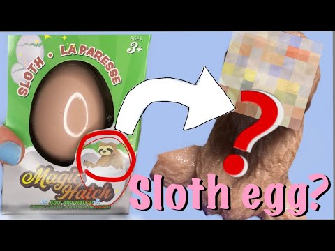 Sloth Easter egg? Magic hatches! What does it look like?