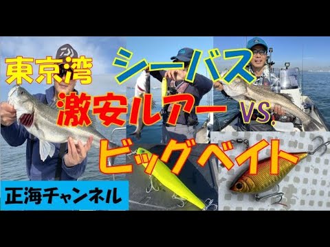 シーバス　激安ルアーvs. ビッグベイトルアー