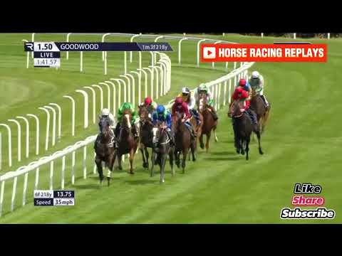 French Duke / 1 Race Goodwood 31 Jul 2024