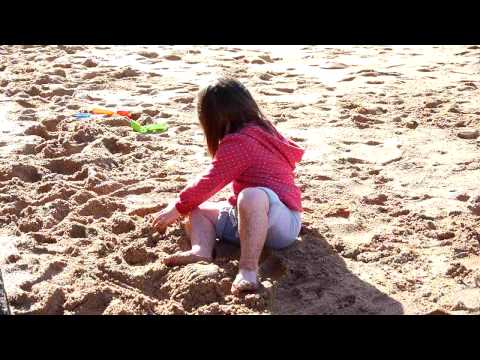 Fathers Day on Avalon Beach